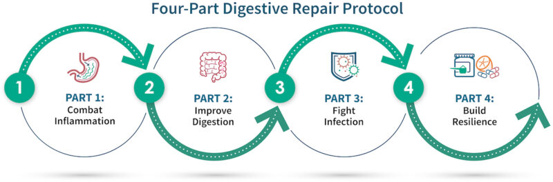 Graphic for Digestive Repair Protocol