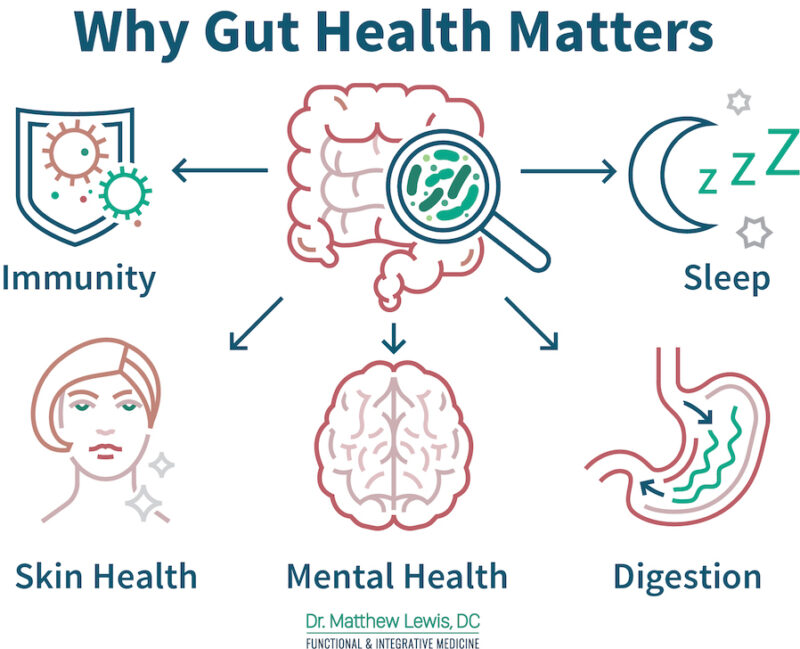 Graphic for why gut health matters