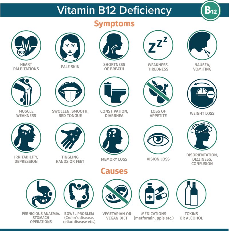 B12 Deficiency Graphic